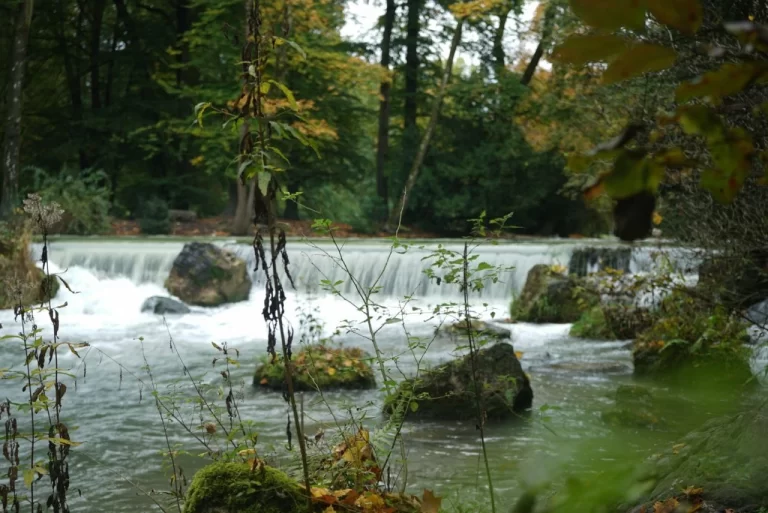 Serene forest scene featuring a cascading waterfall surrounded by lush greenery, moss-covered rocks, and autumn foliage